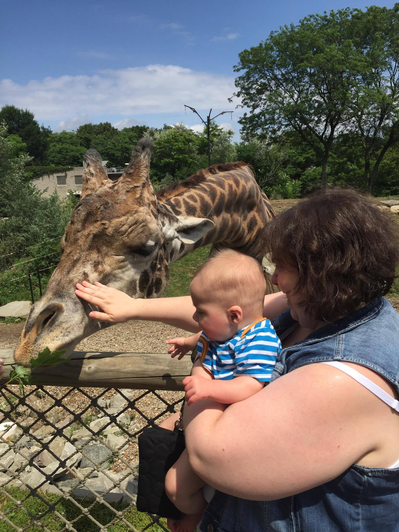 19688398_783374320831_2031331332_o